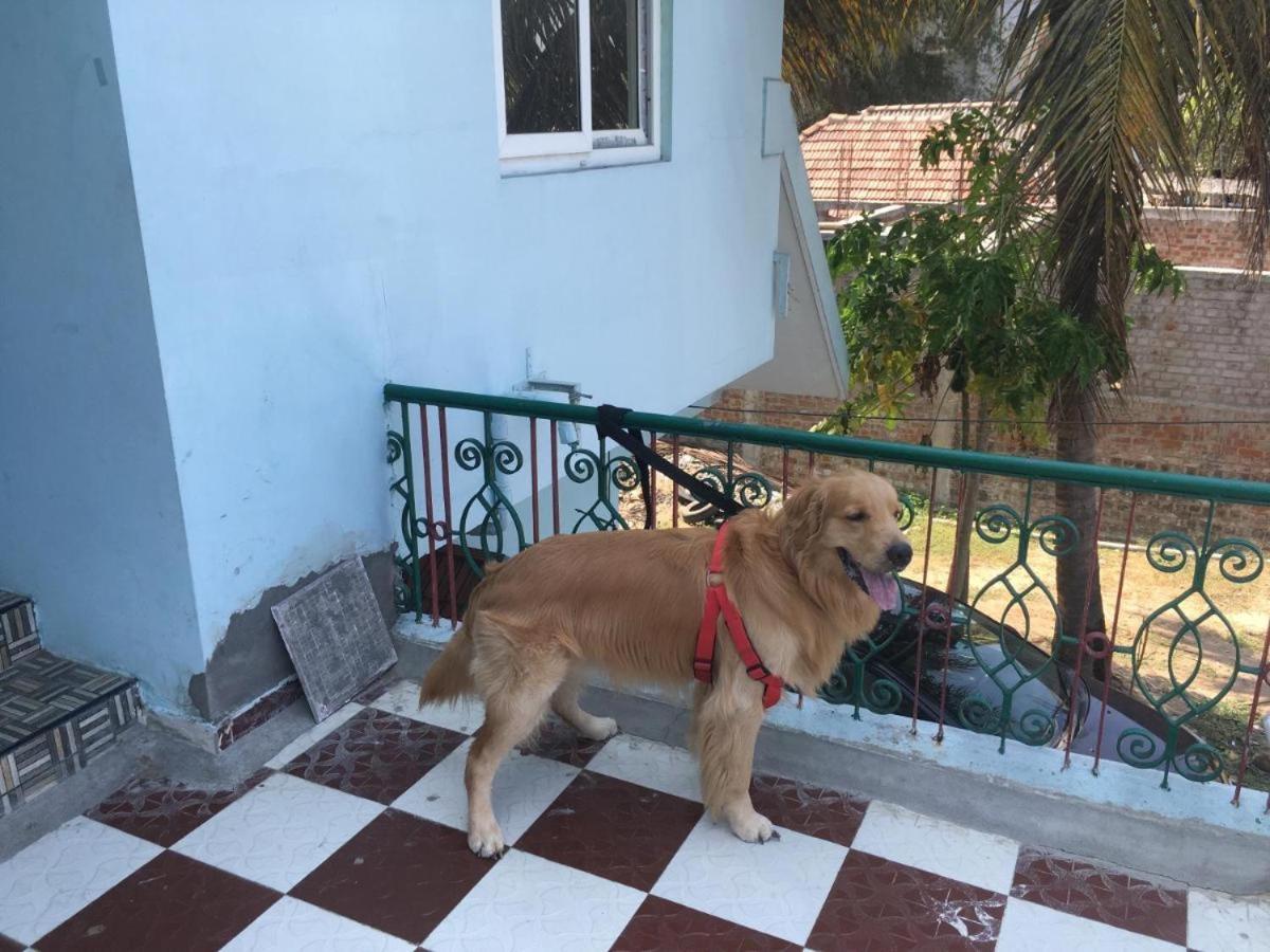 Velanganni Vinodth Homestay Εξωτερικό φωτογραφία